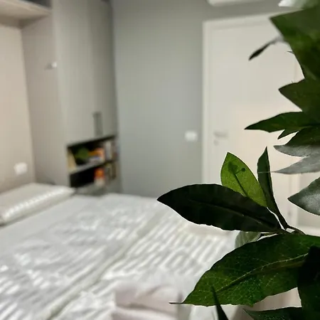 Apartment Amla Downtown Elegance